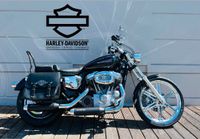 Harley-Davidson Sportster 883 Custom, XL883C, Miller Auspuff Sachsen - Radebeul Vorschau