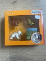 Schleich 42474 Wild Life neu OVP Niedersachsen - Osnabrück Vorschau