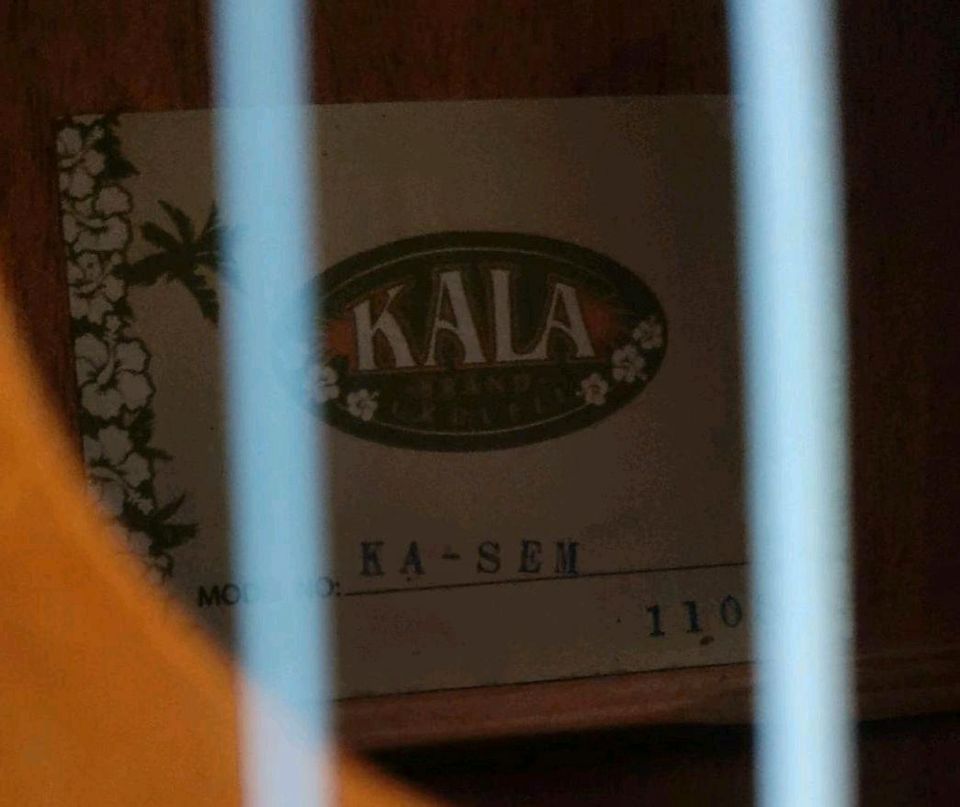 Ukulele Kala -Brand- neuwertig mit Tasche inklusive Versand in Breiholz