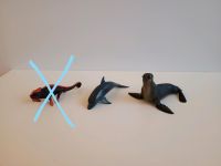 Schleich Wildlife Chamäleon Delfin Seehund Robbe Figuren Tiere Hessen - Rockenberg Vorschau