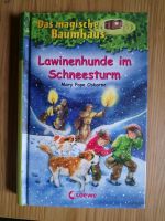 Das magische Baumhaus Band 44 Lawinenhunde im Schneesturm Baden-Württemberg - Achern Vorschau