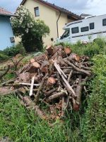 HOLZ ZU VERSCHENKEN Baden-Württemberg - Kupferzell Vorschau