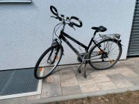 Bergamont Damen Fahrrad - Trakkingbike Bayern - Grafing bei München Vorschau