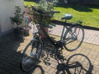 Damenfahrrad 28" Nordrhein-Westfalen - Herten Vorschau