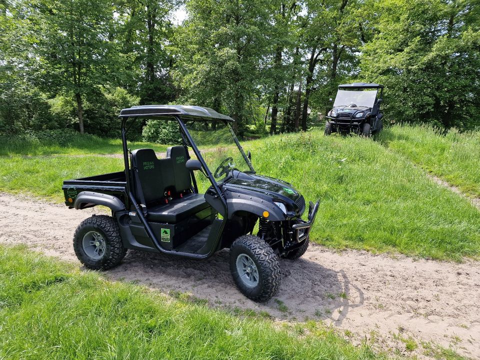 ABVERKAUF | Frisian FM-55 | Elektro | XUV, ATV, Gator, RTV | NEU in Neuenkirchen - Merzen