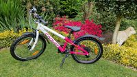 CARVER Kinder MTB Mountainbike pink 20" 7-Gang m. Cube-Ständer Nordrhein-Westfalen - Gronau (Westfalen) Vorschau