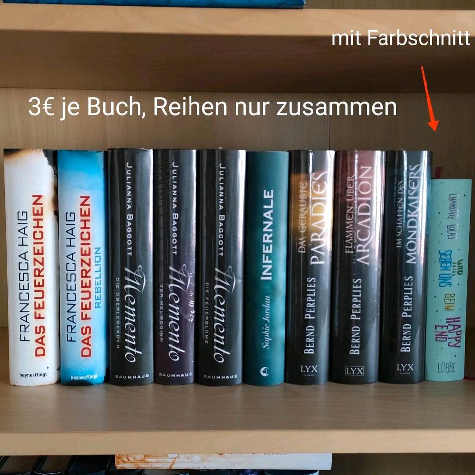 Büchersammlung Bücherbuchse Farbschnitt, New Adult, Fantasy in Haldensleben