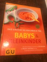 Buch Ratgeber Das große Kochbuch für Babys und Kleinkinder Thüringen - Nobitz Vorschau