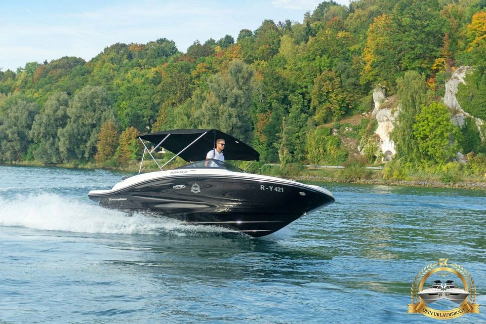 Sea Ray 19 SPX Motorboot mit GPS auf Trailer zum Mieten in Parkstein