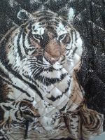 Steppweste Tiger, Bluse und Slinkyshirt von QVC, sehr hochwertig Berlin - Pankow Vorschau