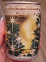 Piniensamen Weihnachtsbaum neu ovp Pflanzgranulat Dortmund - Kirchhörde Vorschau