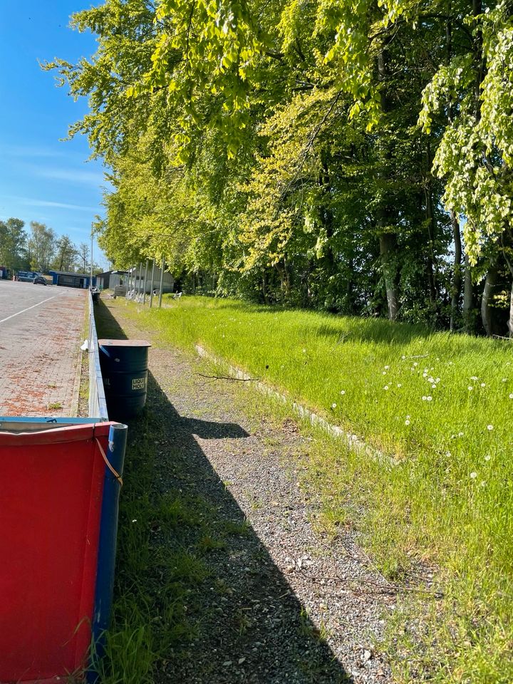 Hecken schneiden /Rasen mähen in Pattensen