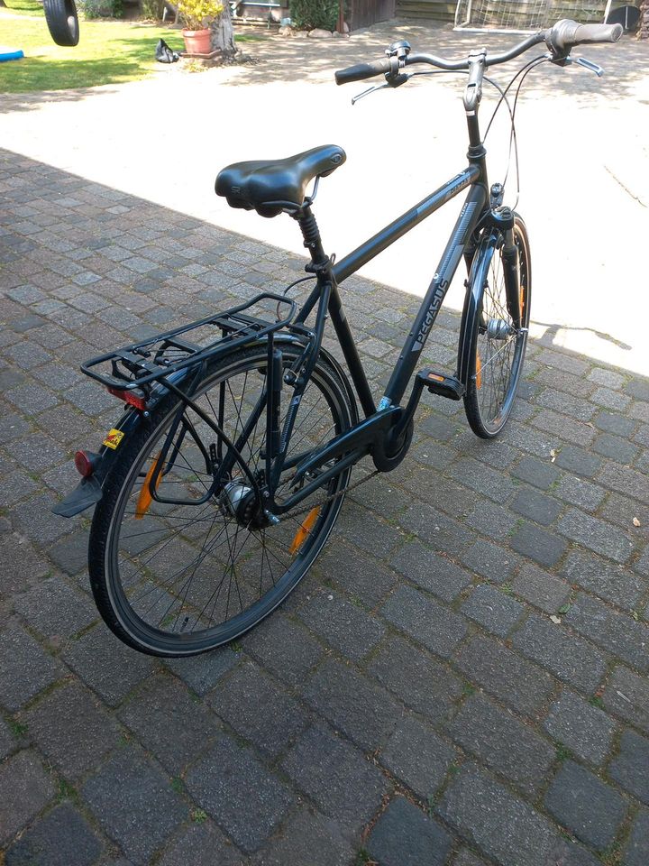 Herrenfahrrad in Bleckede