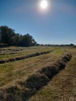 Kleine Ballen hd-ballen keine rundballen heu stroh Mecklenburg-Vorpommern - Neuburg (Nordwestmecklenburg) Vorschau