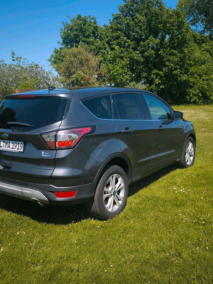 Ford Kuga 1.5 Ecoboost Allrad in Winsen (Luhe)