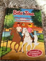 Bibi und Tina Buch Saarland - Freisen Vorschau