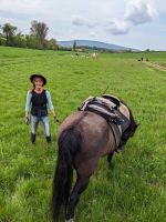 Die perfekten Sättel für Wanderreiten & Gelände Rheinland-Pfalz - Zilshausen Vorschau