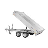 Anhänger Sonderangebot Rückwärtskipper Tandem Saris K1 306 170 2700 2 E elektrisch kippbar Auffahrschienen Heckstützen Brandenburg - Luckau Vorschau