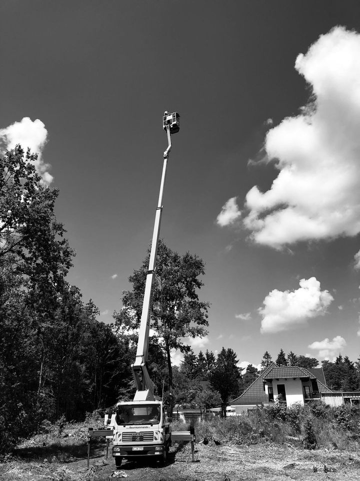 Baumfällung, Sturmschadenbeseitung, Baumpflege in Winsen (Luhe)