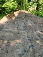 Sand ideal zum auffüllen verfüllen Aushub Erde Bayern - Altdorf bei Nürnberg Vorschau