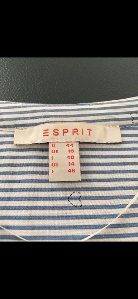 Esprit Bluse neuwertig 44 XXL 42 XL 40 EDC Hemd Langarm Damen in Saulheim