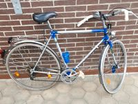 Royston 28er Herrenfahrrad Niedersachsen - Wölpinghausen Vorschau