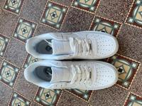 Nike Airforce 1 gr. 43 Nordrhein-Westfalen - Bad Salzuflen Vorschau