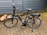 E bike Hercules Roberta Harmony Damen Herren Bosch Nuvinci 28 Nordrhein-Westfalen - Sprockhövel Vorschau