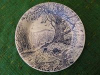 Sammelteller Deko Vintage Ironstone Tableware 10-88 Motiv Baum Nordrhein-Westfalen - Detmold Vorschau