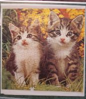 Puzzle Ravensburger Katzen 600 Teile Baden-Württemberg - Rielasingen-Worblingen Vorschau