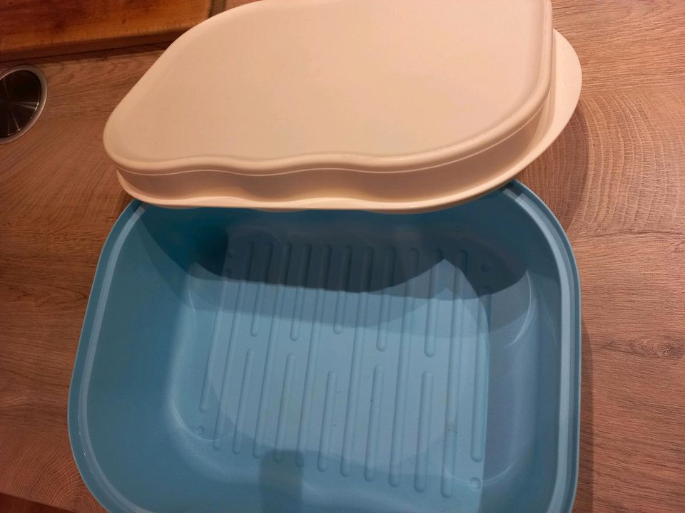 Tupperware Leibwächter Brotkasten in Melle