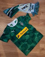 Trikot Kinder BVB Schal Größe 128 Nordrhein-Westfalen - Wipperfürth Vorschau