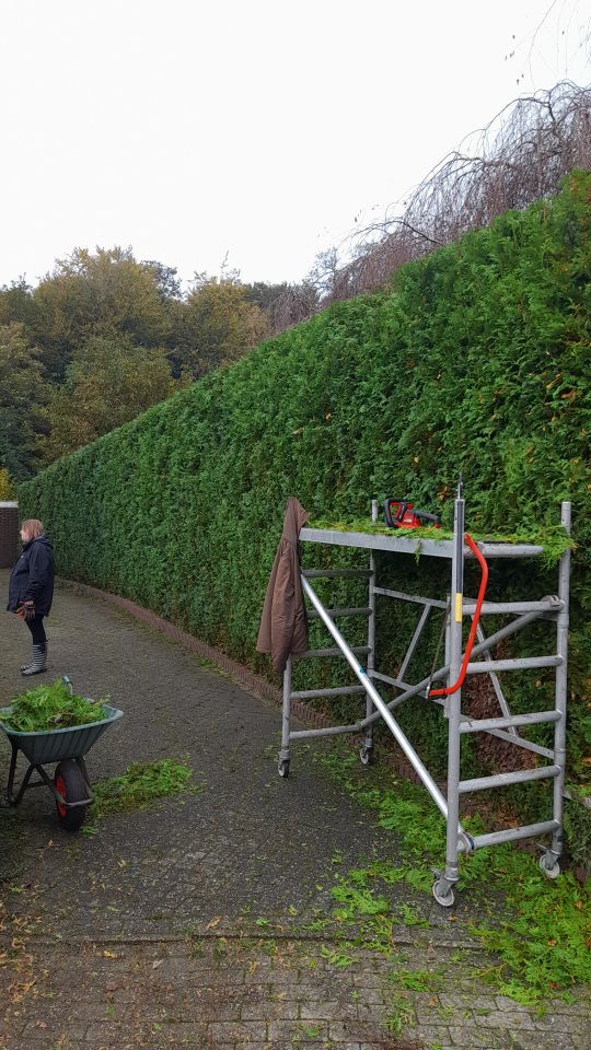 Gartenbau,Pflastern,Gartenpflege,Naturstein in Haltern am See