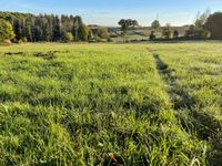 Landwirtschaftliche Flächen im Landkreis Fulda Hessen - Flieden Vorschau