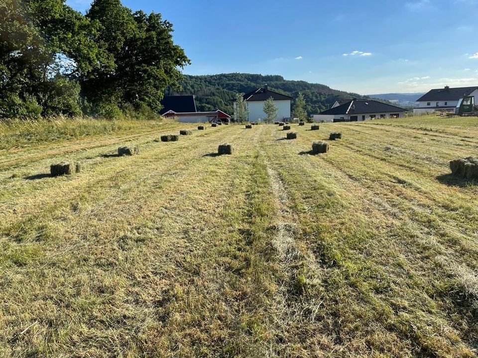 Heu HD Ballen Abverkauf Pferde, Hasen, Kleintiere in Mittenaar