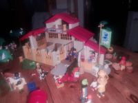 Playmobil Ponyhof / Reiterhof Schleswig-Holstein - Nortorf Vorschau