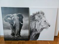 Canvas King of Wildlife und Lion Head (Orangewalzz) Baden-Württemberg - Meßstetten Vorschau