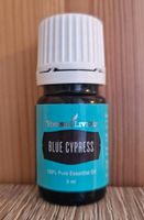 Young Living Öle Blue Cypress 5ml NEU Hamburg - Hamburg-Nord Vorschau