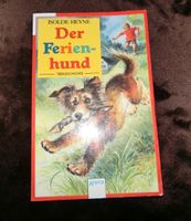 Der Ferienhund Tiergeschichte Kinder Buch Hund Heyne Baden-Württemberg - Dettingen an der Iller Vorschau