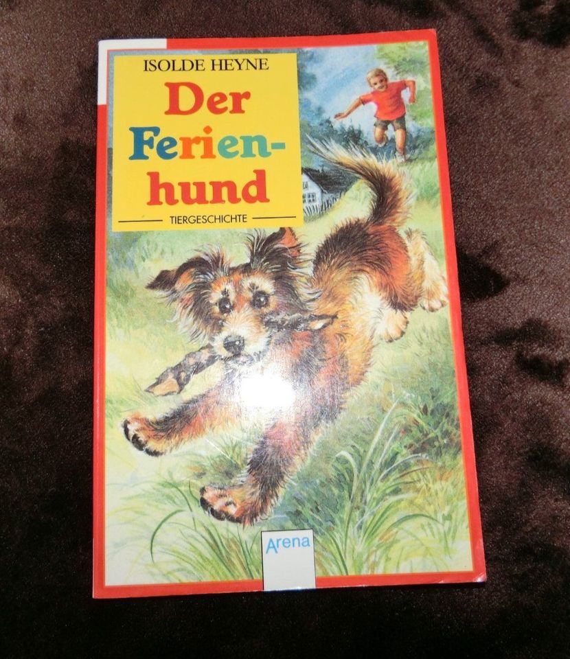 Der Ferienhund Tiergeschichte Kinder Buch Hund Heyne in Dettingen an der Iller