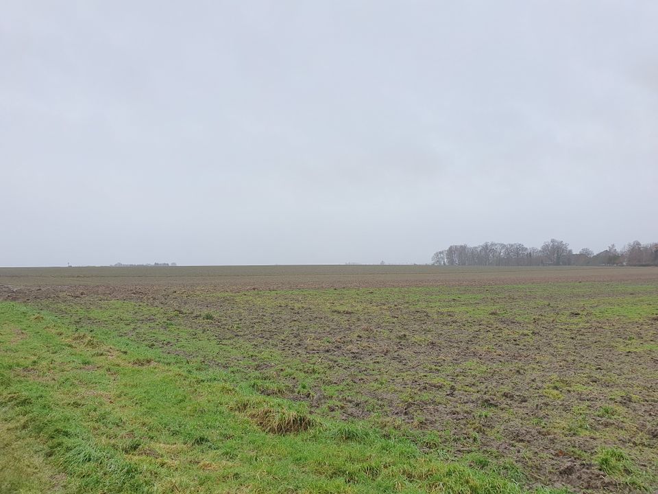 Ein Komforthaus für jedermann im kommenden Baugebiet in Stedum. in Hohenhameln