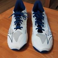 Mizuno WAVE MIRAGE 5 Herren Jungen Handballschuhe Gr 45 Neuwertig Baden-Württemberg - Schutterwald Vorschau
