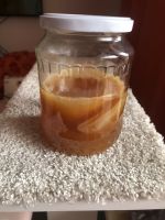 Immer wieder: Kombucha Scoby in Ansatzflüssigkeit zu verschenken München - Milbertshofen - Am Hart Vorschau