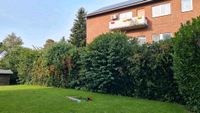 Heckenschnitt, Gartenpflege, Dachrinnenreinigung Bielefeld - Joellenbeck Vorschau