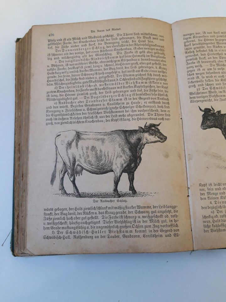 Buch von 1885 antik über Tiergesundheit in Oberickelsheim