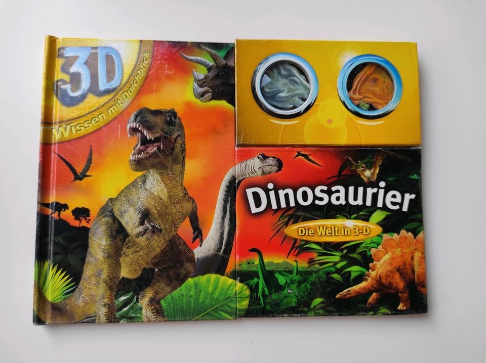 Dinosaurier Kinderbuch mit 3D Funktion in Oestrich-Winkel