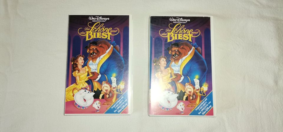 WALT DISNEY CLASSIC VHS KASSETTE MEISTERWERK HALOGRAMM SAMMLERSTÜ in Schwegenheim