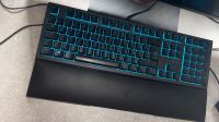 Razer Ornata V2 Baden-Württemberg - Schöntal Vorschau