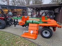 Posch Splitmaster 30 auf Längsfahrwerk Holzspalter Nordrhein-Westfalen - Brilon Vorschau