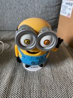 Nachtlicht Minion Baden-Württemberg - Amtzell Vorschau